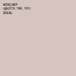 #D5C4BF - Sisal Color Image