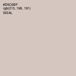 #D5C6BF - Sisal Color Image
