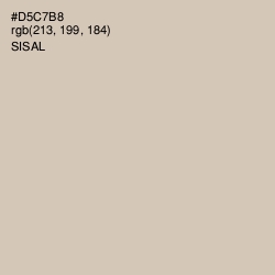 #D5C7B8 - Sisal Color Image