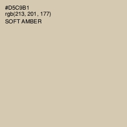 #D5C9B1 - Soft Amber Color Image