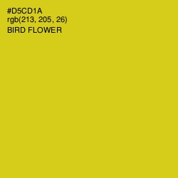 #D5CD1A - Bird Flower Color Image