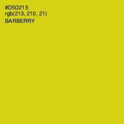 #D5D215 - Barberry Color Image