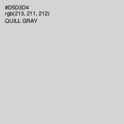 #D5D3D4 - Quill Gray Color Image