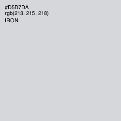#D5D7DA - Iron Color Image