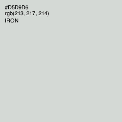 #D5D9D6 - Iron Color Image