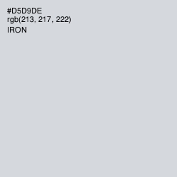#D5D9DE - Iron Color Image