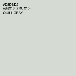 #D5DBD2 - Quill Gray Color Image