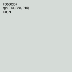 #D5DCD7 - Iron Color Image