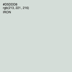#D5DDD8 - Iron Color Image