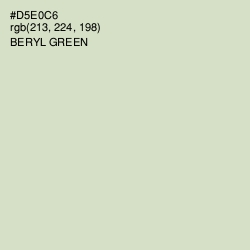 #D5E0C6 - Beryl Green Color Image