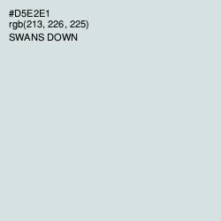 #D5E2E1 - Swans Down Color Image