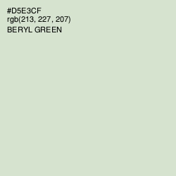 #D5E3CF - Beryl Green Color Image