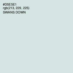 #D5E5E1 - Swans Down Color Image