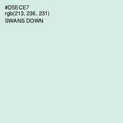 #D5ECE7 - Swans Down Color Image