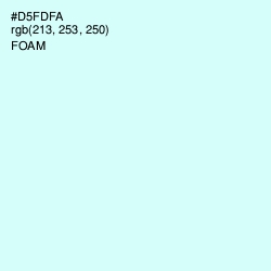 #D5FDFA - Foam Color Image