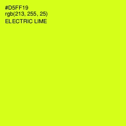 #D5FF19 - Electric Lime Color Image