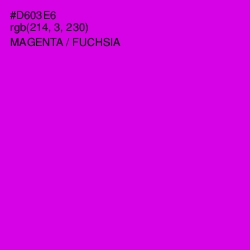 #D603E6 - Magenta / Fuchsia Color Image