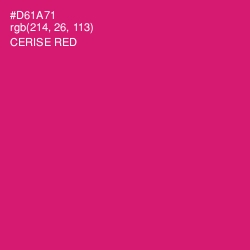 #D61A71 - Cerise Red Color Image