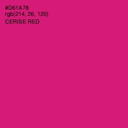 #D61A78 - Cerise Red Color Image