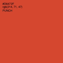 #D6472F - Punch Color Image