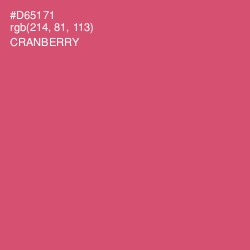 #D65171 - Cranberry Color Image