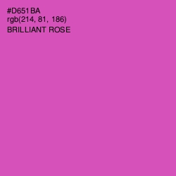#D651BA - Brilliant Rose Color Image
