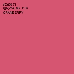 #D65671 - Cranberry Color Image