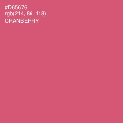 #D65676 - Cranberry Color Image