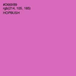 #D669B9 - Hopbush Color Image
