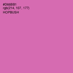 #D66BB1 - Hopbush Color Image