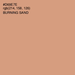 #D69E7E - Burning Sand Color Image