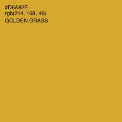 #D6A82E - Golden Grass Color Image