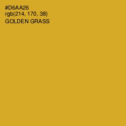 #D6AA26 - Golden Grass Color Image