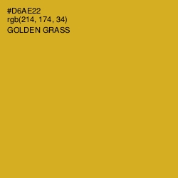 #D6AE22 - Golden Grass Color Image