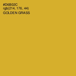 #D6B02C - Golden Grass Color Image