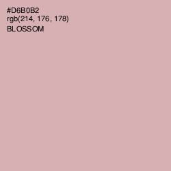 #D6B0B2 - Blossom Color Image