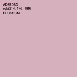 #D6B0BD - Blossom Color Image