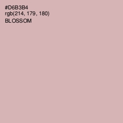 #D6B3B4 - Blossom Color Image