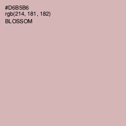 #D6B5B6 - Blossom Color Image