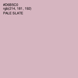 #D6B5C0 - Pale Slate Color Image