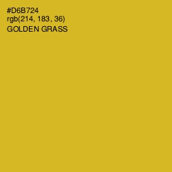 #D6B724 - Golden Grass Color Image