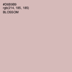 #D6B9B9 - Blossom Color Image