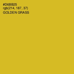 #D6BB25 - Golden Grass Color Image