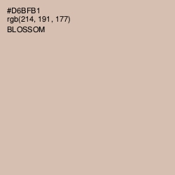 #D6BFB1 - Blossom Color Image
