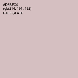 #D6BFC0 - Pale Slate Color Image