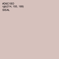 #D6C1BD - Sisal Color Image