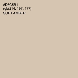 #D6C5B1 - Soft Amber Color Image