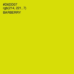 #D6DD07 - Barberry Color Image