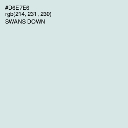 #D6E7E6 - Swans Down Color Image