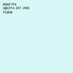 #D6F7F6 - Foam Color Image